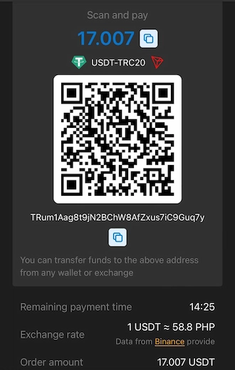 Step 3: Make the payment via the QR code or beneficiary wallet address.