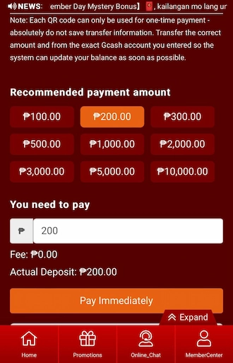 Step 3: Select the default amount or fill in the amount you want to pay.