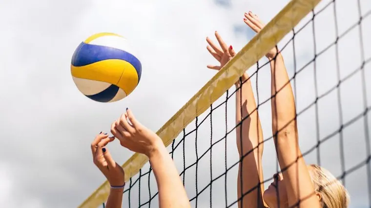 Learn about online volleyball betting rules